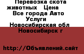 Перевозка скота животных › Цена ­ 39 - Все города Авто » Услуги   . Новосибирская обл.,Новосибирск г.